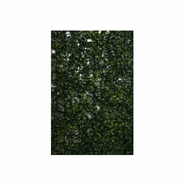 Follaje Decorativo – Boj Clásico