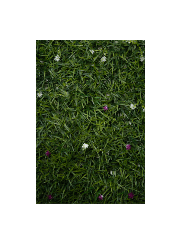 Follaje Decorativo – Jardín Floral