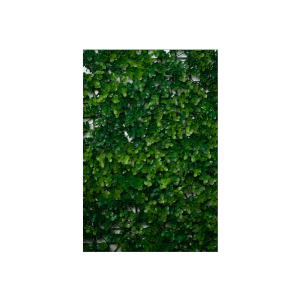 Follaje Decorativo – Laurel Brillante