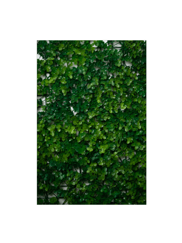 Follaje Decorativo – Laurel Brillante